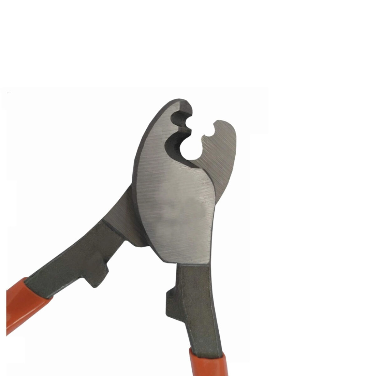 انبر